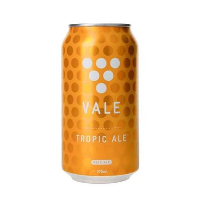 Vale Brewing Tropic Pale Ale 4.2 % vol. 375 ml