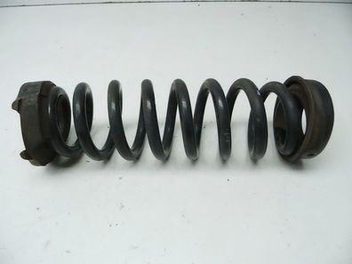 Ferder hinten links BMW 1er-Reihe E81/E87 (Typ: 81/E87) 2010