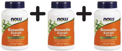 3 x Boswellia Extract, 250mg - 120 vcaps