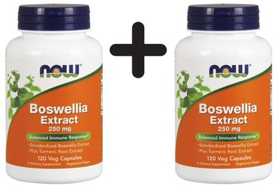 2 x Boswellia Extract, 250mg - 120 vcaps