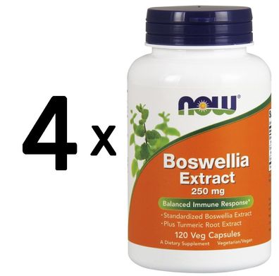 4 x Boswellia Extract, 250mg - 120 vcaps