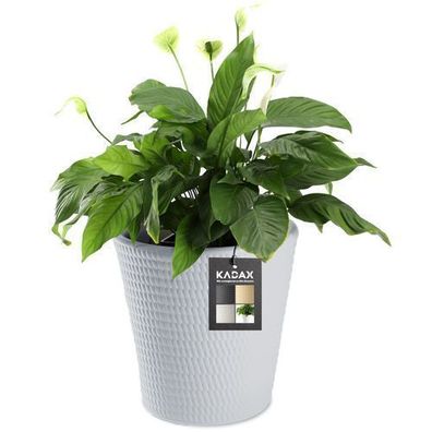 KADAX Blumentopf aus Kunststoff, Pflanzkübel, 35 cm, Grau