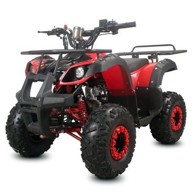 Quad ATV Kinderquad Miniquad 125cc Toronto 1G7 Pocketbike Pocketquad