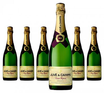 6 x Juvé & Camps Cava Reserva Essential Purpura Brut – 2017