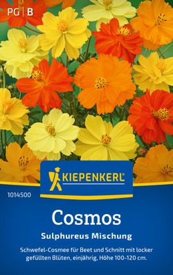 Cosmos Sulphureus Mischung, Schwefel-Cosmee für Beet und Schnitt - gefüllte