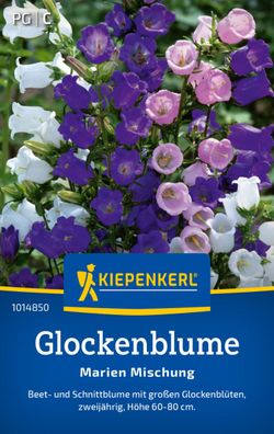 Glockenblume Marien Mischung, Beet- u Schnittblume mit großen Glockenblüten