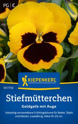 Stiefmütterchen Goldgelb mit Auge, Frühlingsblume für Beet, Töpfe und Käszten