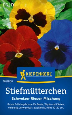 Stiefmütterchen Schweizer Riesen Mischung, Frühlingsblume für Beete, Töpfe