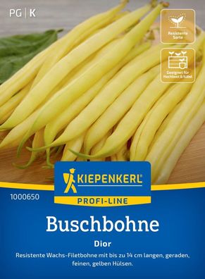 Buschbohne Dior, resistente Wachs-Filetbohne, gerade feine gelbe Hülsen,