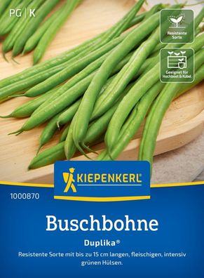 Buschbohne Duplika®, resistente Sorte mit fleischigen, intensiv grünen