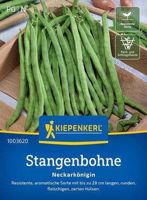 Stangenbohne Neckarkönigin, resistente aromatische Sorte mit runden