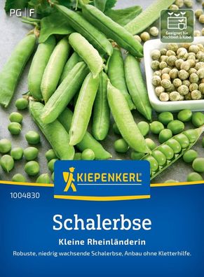 Schalerbse Kleine Rheinländerin, robuste niedrig wachsende Schalerbse Anbau