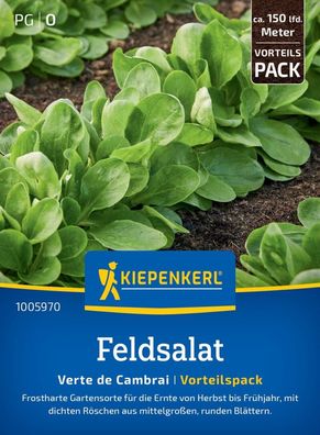 Feldsalat Verte de Cambrai Vorteilspack, frostharte Gartensorte - dichte