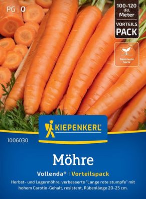 Möhre Vollenda®, Vorteilspackung, Herbst- Lagermöhre - hoher Carotin-Gehalt,