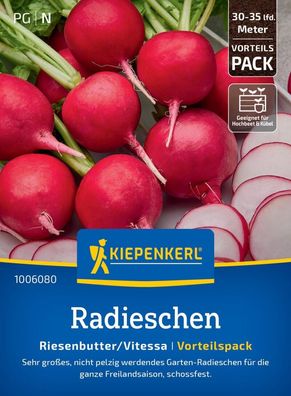 Radieschen Riesenbutter/Vitessa, Vorteilspackung, groß - nicht pelzig