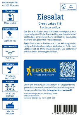 Eissalat Great Lakes 118, hellgrüne Köpfe - schossfest - für gesamte