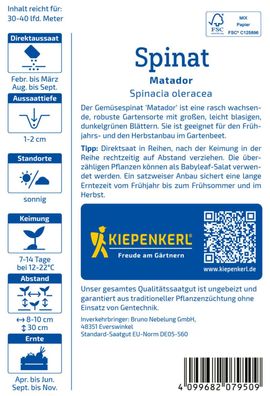 Spinat Matador, großblättriger Gemüsespinat - Frühjahrs- und Herbstanbau,