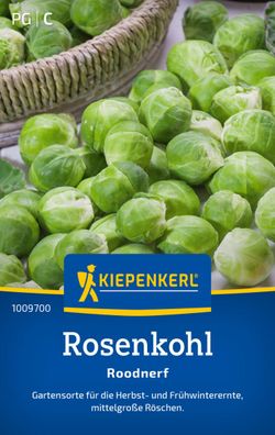 Rosenkohl Roodnerf, Gartensorte für Herbst- und Frühwinterernte - mittelgroße