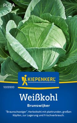 Weißkohl Brunswijker "Braunschweiger", Herbstkohl - große, plattrunde Köpfe