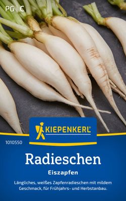 Radieschen Eiszapfen, länglich weiß Zapfenradieschen - mild im Geschmack