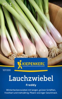 Lauchzwiebel Freddy, Winterheckenzwiebel - lange grüne Schäfte - frosthart