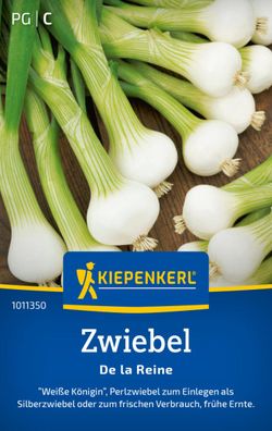 Zwiebel De la Reine, "Weiße Königin" - Perlzwiebel zum einlegen als