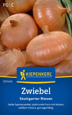 Zwiebel Stuttgarter Riesen, gelbe Speisezwiebel - plattrund - weißes Fleisch