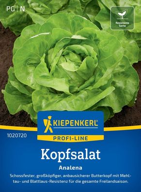 Kopfsalat Analena, schossfest - großköpfig - anbausicher - resistent, Kiepenkerl