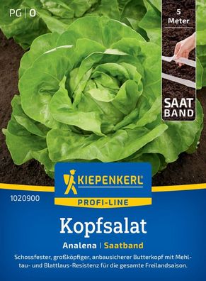 Kopfsalat Analena, Saatband, schossfest- großköpfiger Butterkopf - reststent,