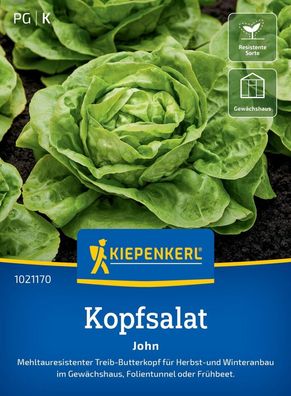 Kopfsalat John, mehltauresistent - Treib-Butterkopf - für Herbst- und