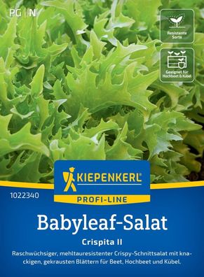 Babyleaf-Salat Crispita II, wüchsig - mehltauresistenter Crispy-Schnittsalat