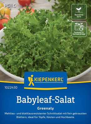 Babyleaf-Salat Greenaly, Mehltau- u. blattlausresistenter Schnittsalat - fein