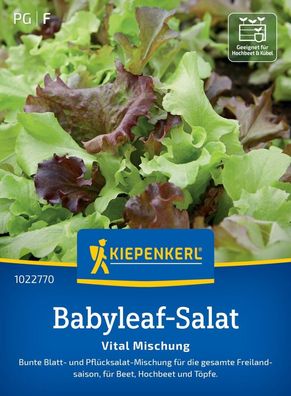 Babyleaf-Salat Vital Mischung, bunte Blatt- u. Pflücksalat Mischung - für