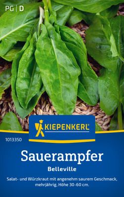 Sauerampfer Belleville, Salat- und Würzkraut - angenehm sauer im Geschmack