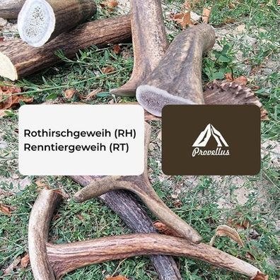 Hunde Kauknochen Hirschgeweih Geweihstücke Kaugeweih Geweihsnack Rotwild+Rentier