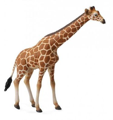 Giraffe Netzoptik Figur - Collecta Modell 2023