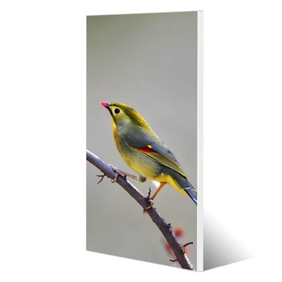 banjado® Magnettafel aus Stahl weiß magnetisch Motiv Herbst Vogel