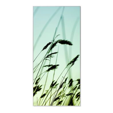 banjado® Magnettafel aus Stahl silber magnetisch Motiv Gräser