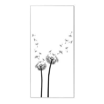 banjado® Magnettafel aus Stahl silber magnetisch Motiv Pusteblume 2