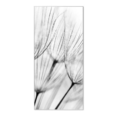 banjado® Magnettafel aus Stahl silber magnetisch Motiv Pusteblumen SW