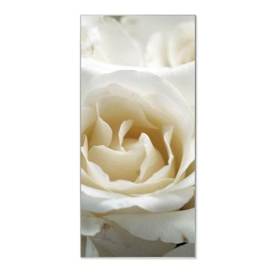 banjado® Magnettafel aus Stahl silber magnetisch Motiv White Roses