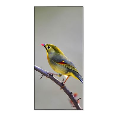 banjado® Magnettafel aus Stahl schwarz magnetisch Motiv Herbst Vogel