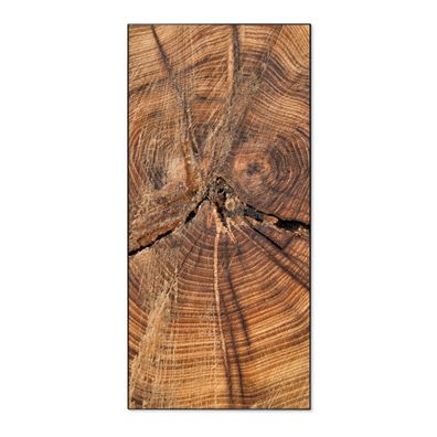 banjado® Magnettafel aus Stahl schwarz magnetisch Motiv Jahresringe