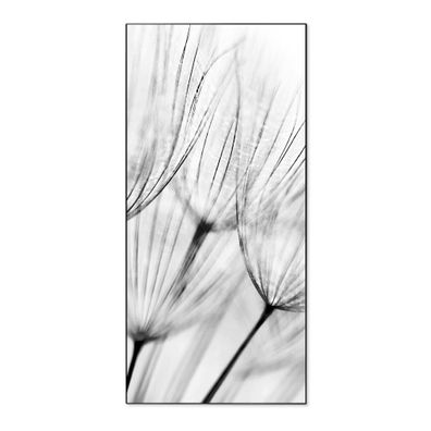 banjado® Magnettafel aus Stahl schwarz magnetisch Motiv Pusteblumen SW