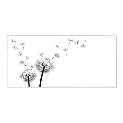 banjado® Magnettafel aus Stahl silber magnetisch Motiv Pusteblume 2