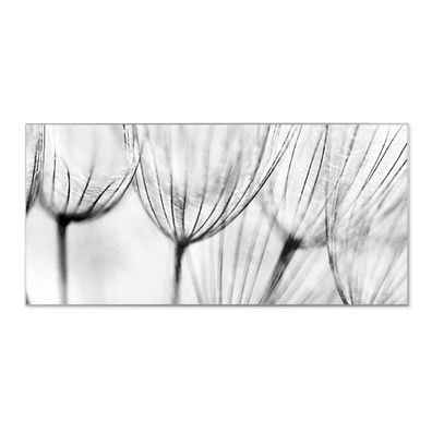 banjado® Magnettafel aus Stahl silber magnetisch Motiv Pusteblumen SW