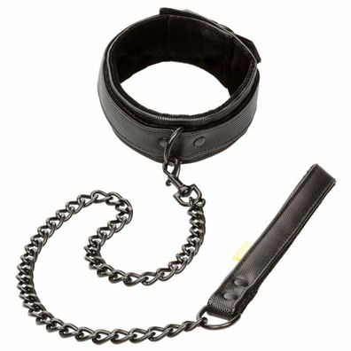 CALEX Boundless COLLAR AND LEASH