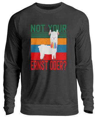 NOT YOUR ERNST ODER? - Unisex Pullover