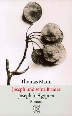 Joseph und seine BrüderIII. Joseph in Ägypten, Thomas Mann