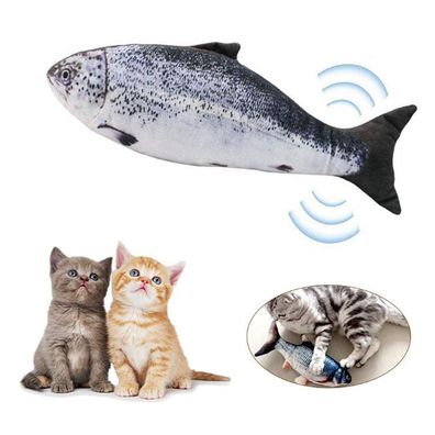 Charminer Elektrisches Spielzeug Fisch, Katze, USB